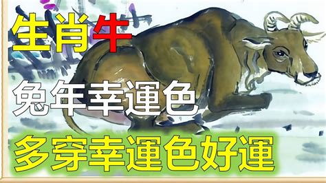 屬牛招財|生肖牛的幸運色、招財飾物、相剋屬相原來是這個